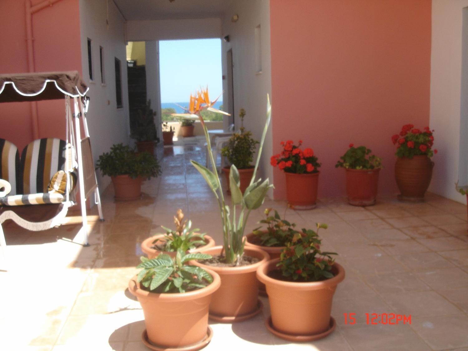 Iliaktida Apartments Rapanianá Extérieur photo