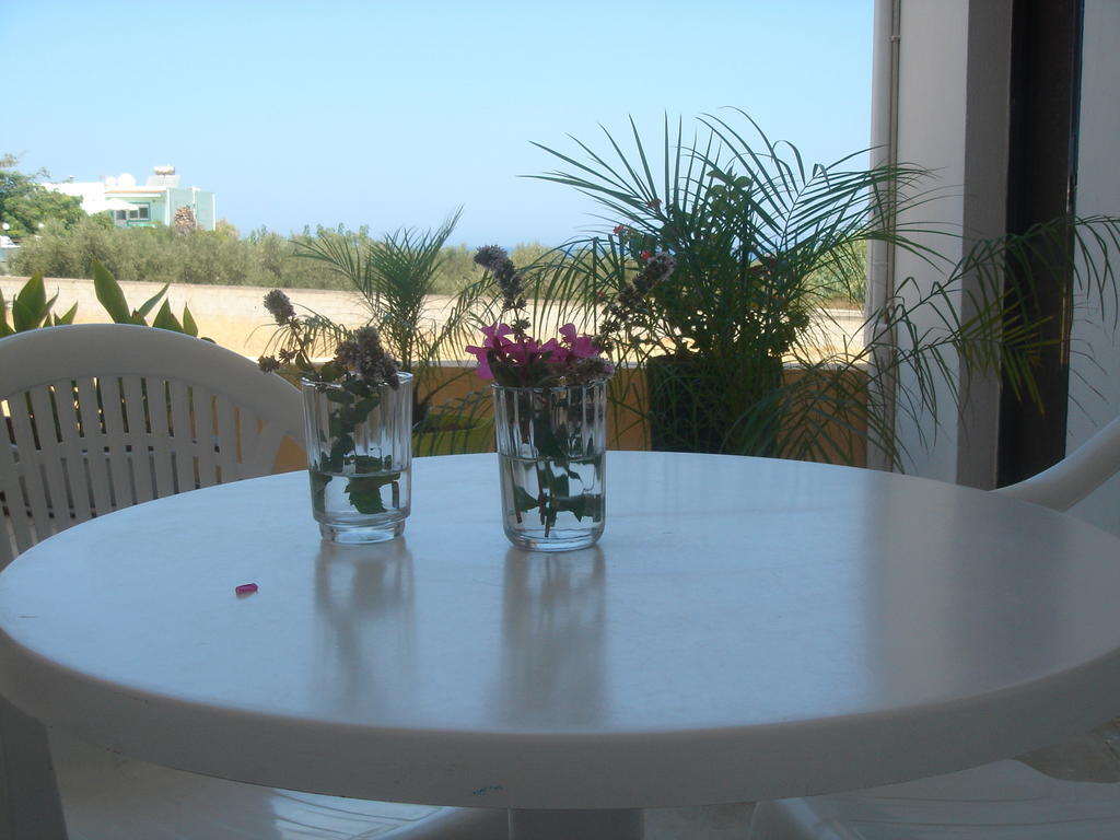 Iliaktida Apartments Rapanianá Extérieur photo