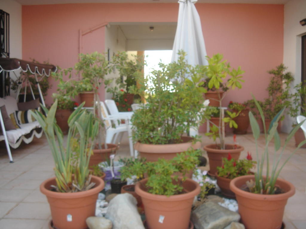 Iliaktida Apartments Rapanianá Extérieur photo